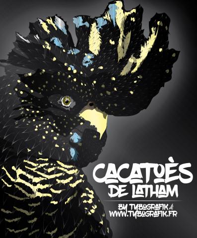 Cacatoès de Latham By Tybografik