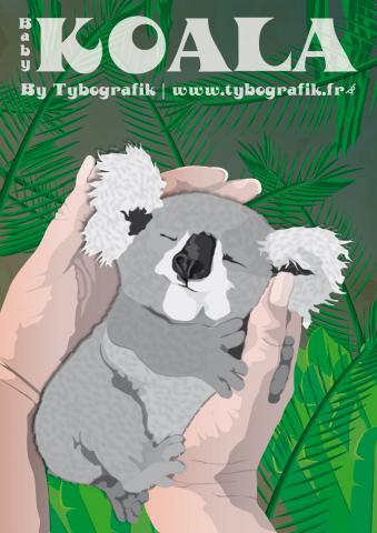 Baby Koala By Tybografik