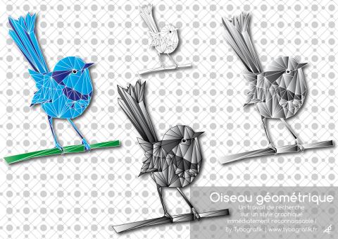 Oiseaux Géométriques - Recherches by Tybografik